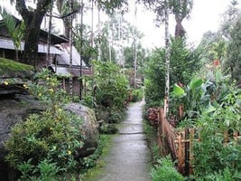 印度傳奇小村莊全亞洲最乾淨